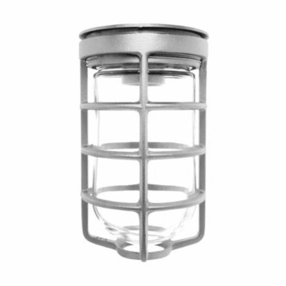 RAB VC100DG VC Series HID Outdoor Vaporproof Light Fixture,) A-19 Incandescent Lamp, 120/208/240/277 VAC, Natural Housing